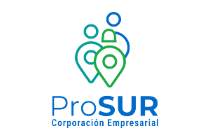 6. PROSUR