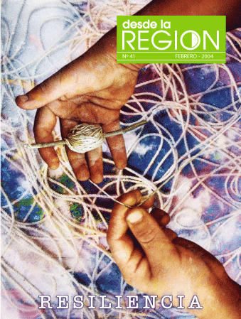 Desde La Región. Boletín No. 41